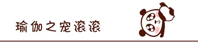健康之路五脏六腑,健康之路五脏调和百病消