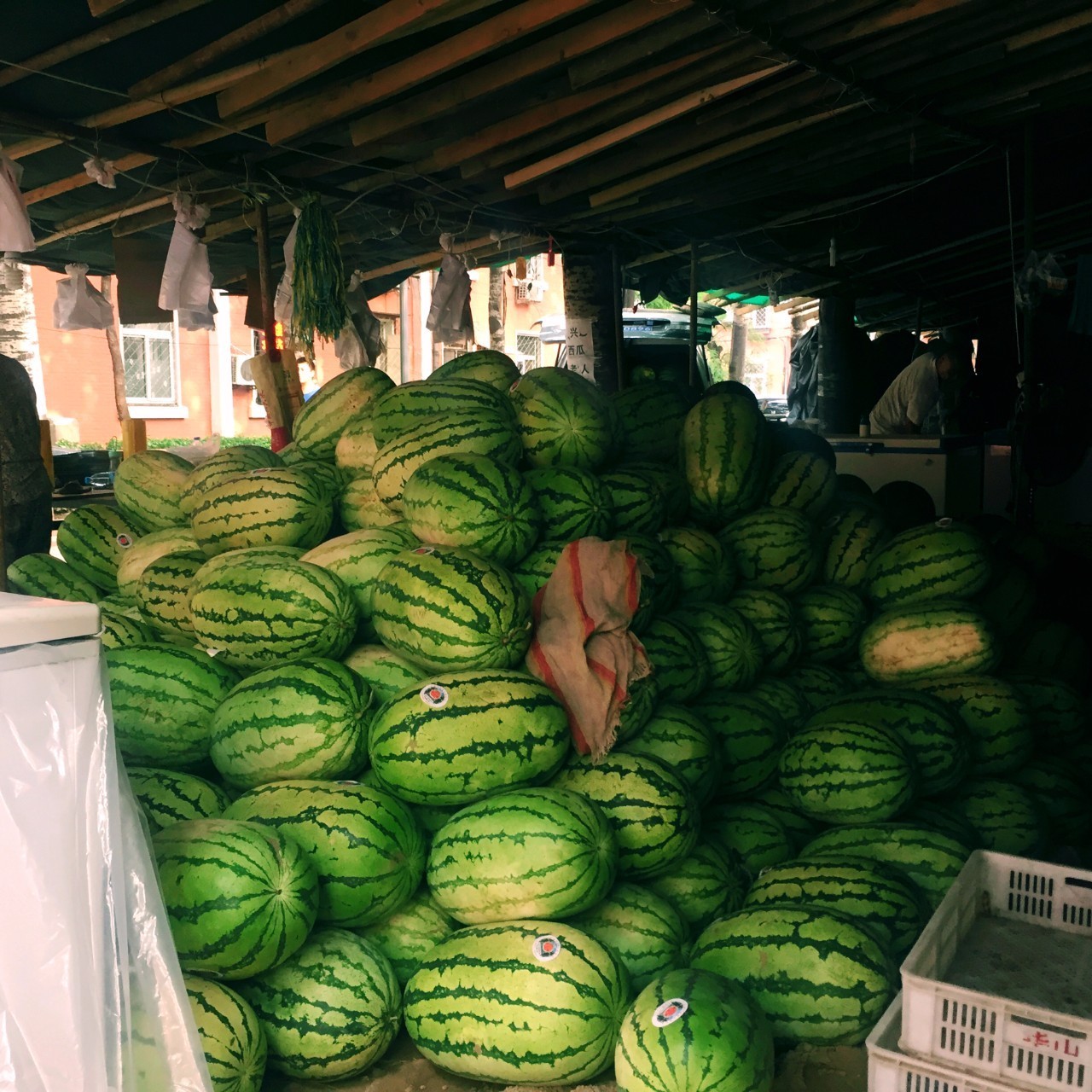 北京科技大学这个西瓜摊神了,一到夏天就成北科吃货聚集地
