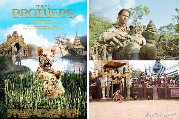 小学必看电影推荐十部经典,十大小学教育电影推荐