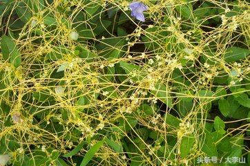 农村赚钱的十大经历,分享两个不体面但利润吓人的生意