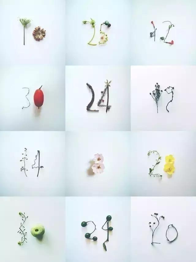 diy干花教程5朵,自己动手diy的干花