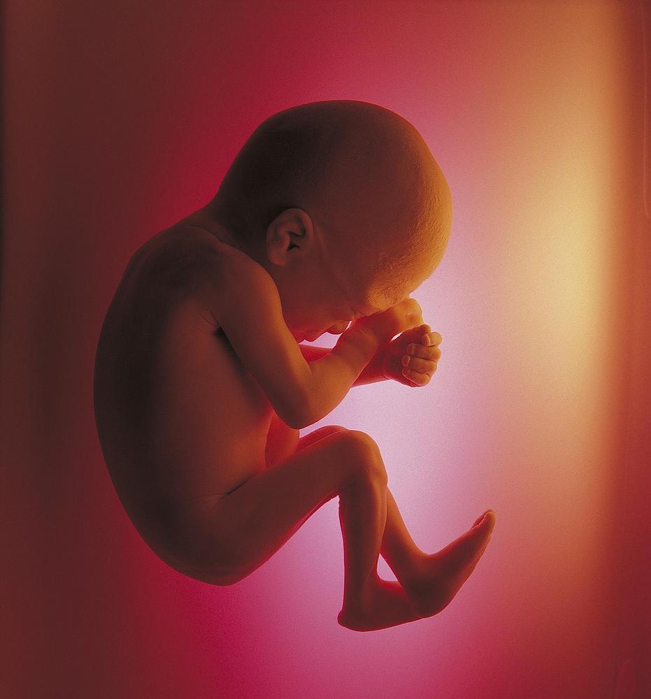 孕妇32周以后胎盘还能长上去吗,孕33周胎盘成熟2级了