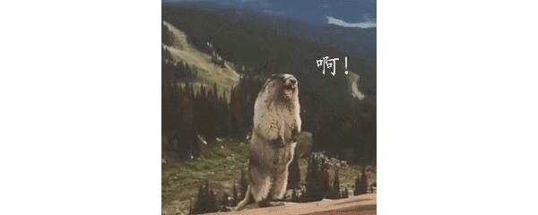 屈臣氏最值得买的东西十一月好物,2022年屈臣氏最值得购买的好物