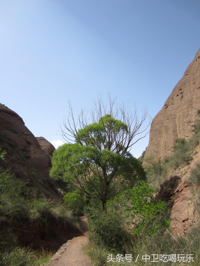 中卫寺口子大峡谷值不值得去,中卫寺口奇峡