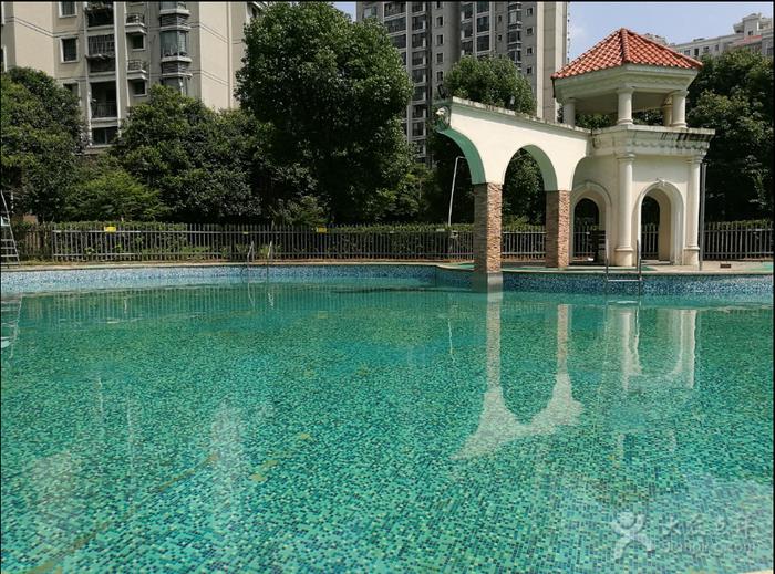 合肥哪些游泳馆开了,合肥百大附近游泳馆推荐