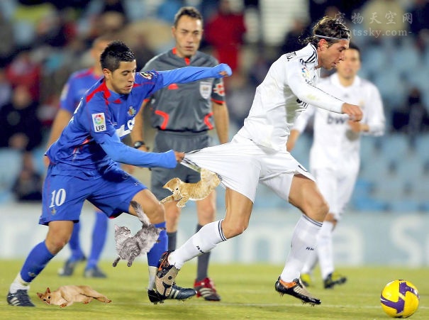 鎬庝箞鎶婅冻鐞冨仛鎴愮珛浣撶殑ps,鎶婅冻鐞僷鎴愮尗