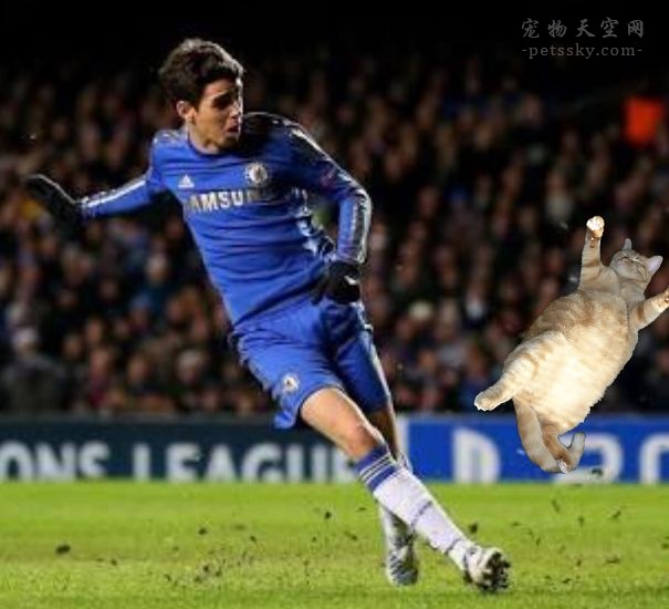 鎬庝箞鎶婅冻鐞冨仛鎴愮珛浣撶殑ps,鎶婅冻鐞僷鎴愮尗