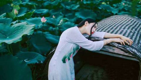 词风雅韵-冯振宇｜千条溪水奔流去万顷荷花娇艳红