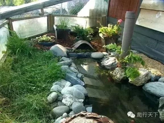 藏穴是什么意思,藏穴