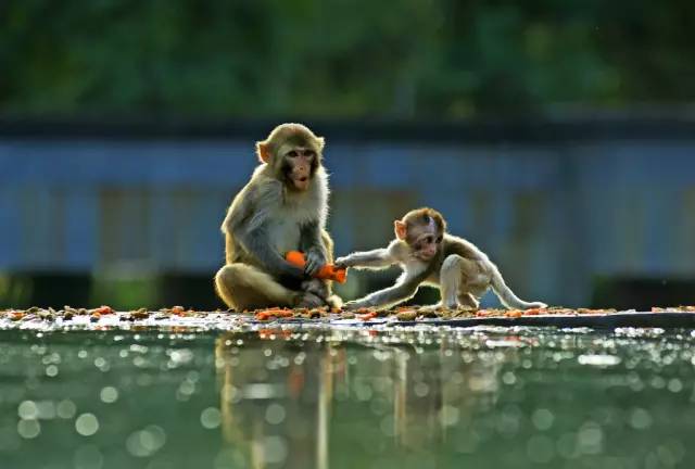 京津冀,听说你们缺一份避暑攻略?驿雲小编已给你们备好!