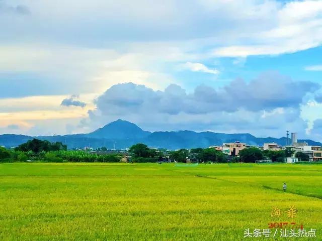 楠戣瑙佽瘉涓浗鍩庨晣鍙樺寲,婢勬捣涓滈噷妯熸灄鍙ゅ贩
