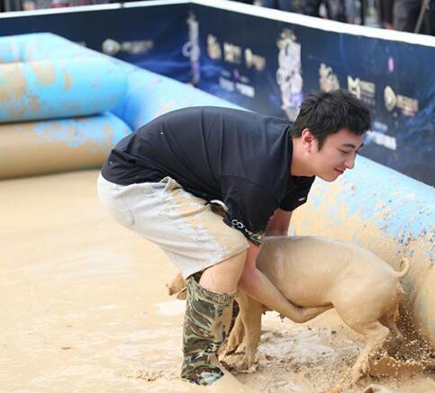 大学生创业成功率比被雷劈还低，只有王思聪才配创业