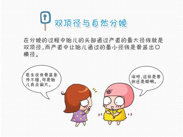 胎儿双顶径标准测量图,入盆以后双顶径测量准确吗