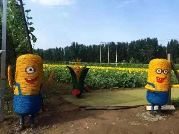 玩转怀柔丨无“水”不夏天，怀柔让你嗨翻天~