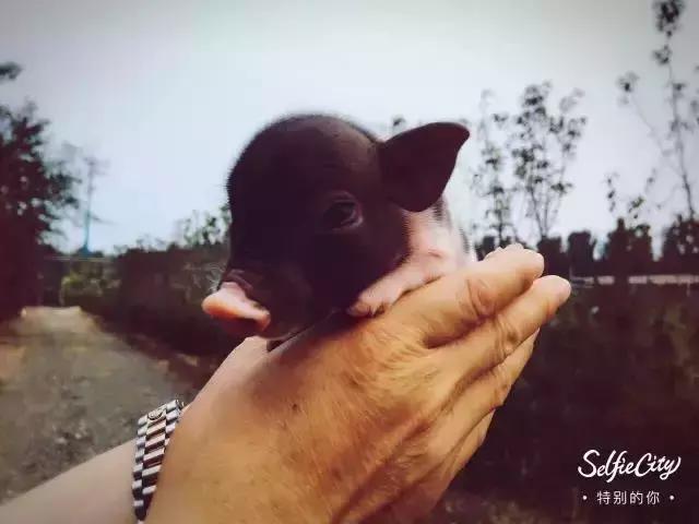 玩转怀柔丨无“水”不夏天，怀柔让你嗨翻天~