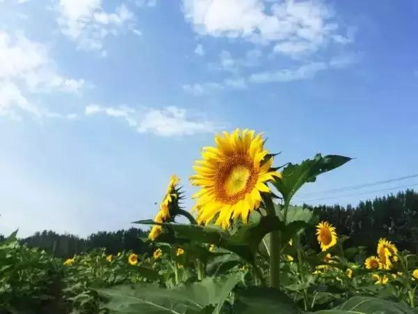 玩转怀柔丨无“水”不夏天，怀柔让你嗨翻天~