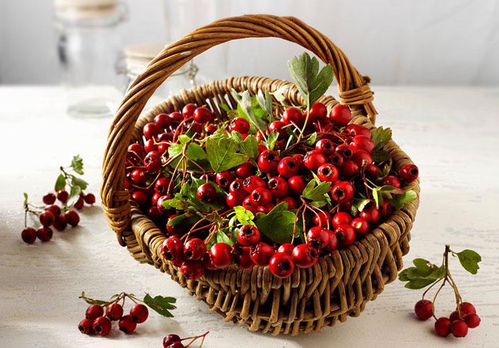 坐月子食谱坐月子能吃什么菜,坐月子可以吃常温水果吗