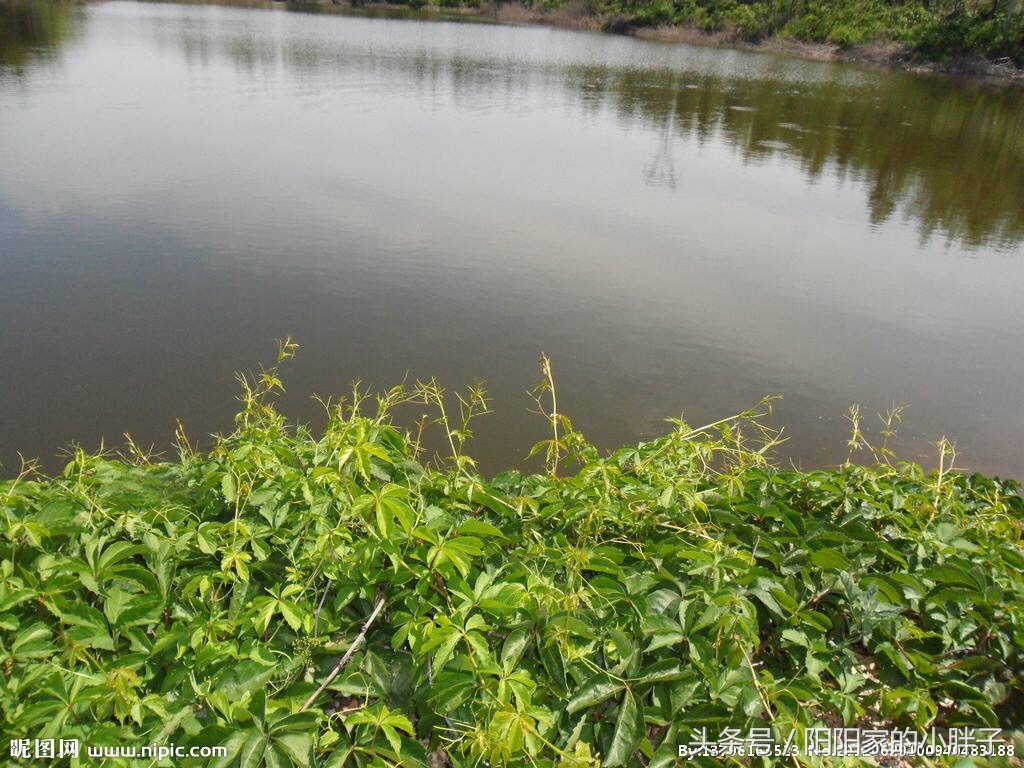 民间怪谈：老太太爬向草丛中的绣花鞋，被人拦住后，好生后怕