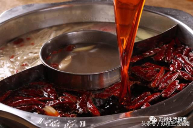 撸猫撸狗好去处苏州,苏州可以撸猫的园