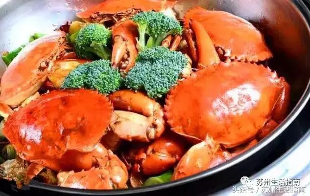 撸猫撸狗好去处苏州,苏州可以撸猫的园