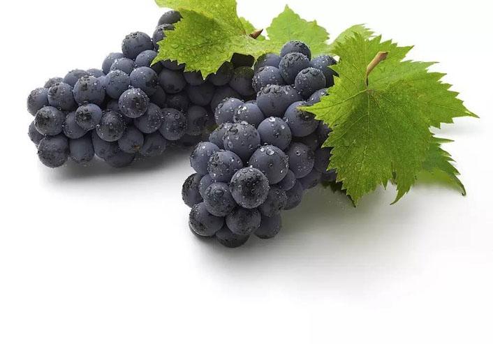 坐月子食谱坐月子能吃什么菜,坐月子可以吃常温水果吗