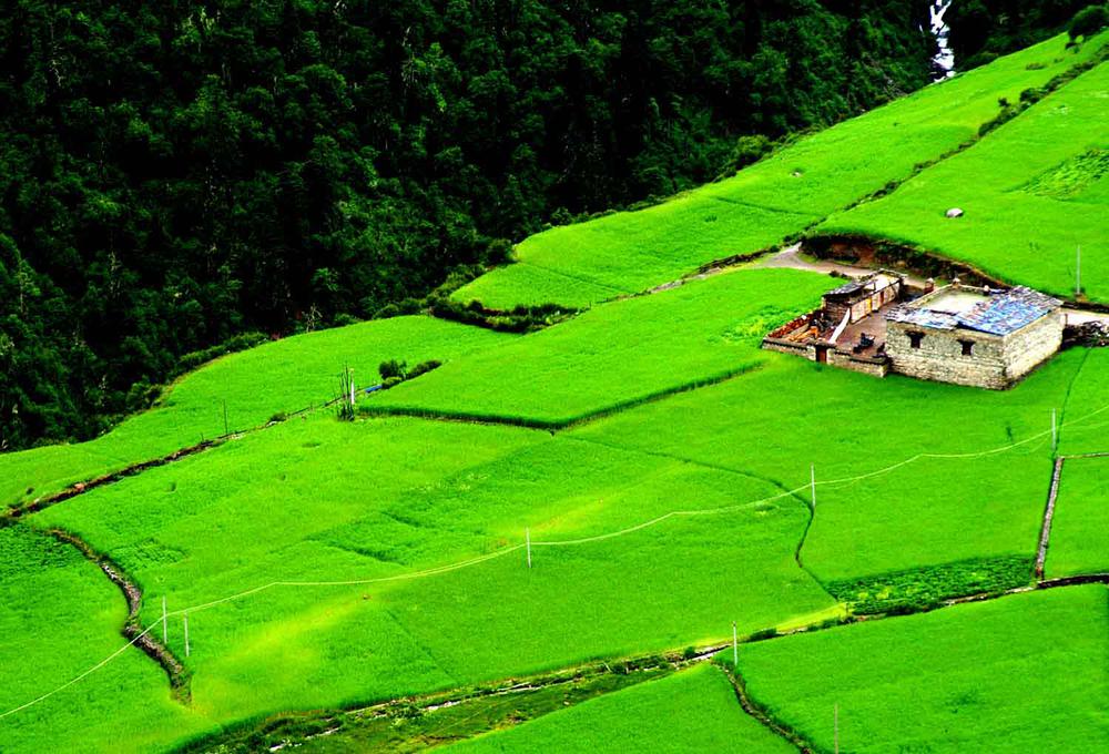 稻城亚丁旅游最新路况,成都稻城亚丁路况实录最新