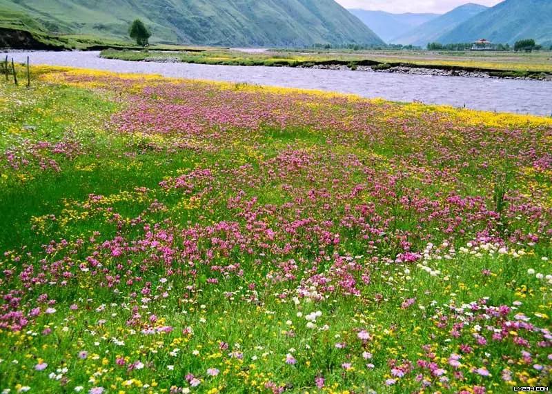 稻城亚丁旅游最新路况,成都稻城亚丁路况实录最新