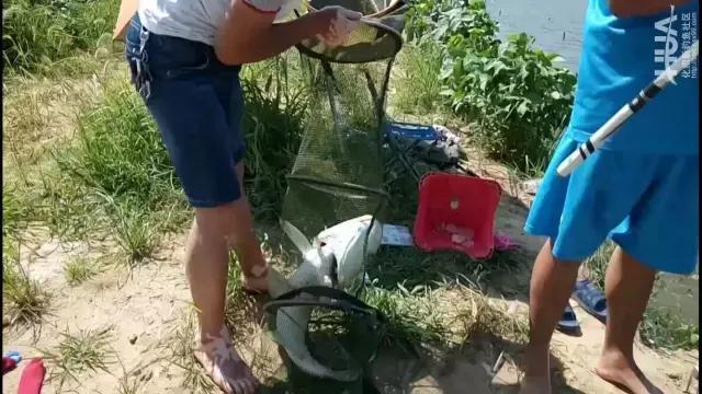 大物杀手鱼竿,大物一味鱼竿