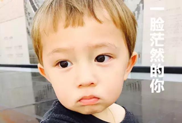 英文实时翻译机,英语免费人工翻译软件推荐中文