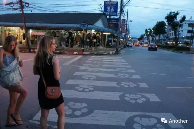 泰国甲米岛自由行攻略,去泰国哪个岛晚上嗨