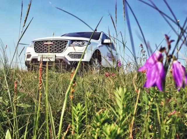 哈弗H8试驾,哈弗h8试驾车能不能买