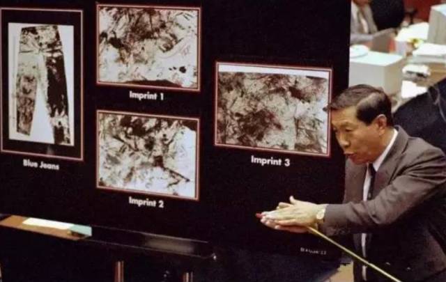 华人神探谈章莹颖案视频,章莹颖案未公布证据