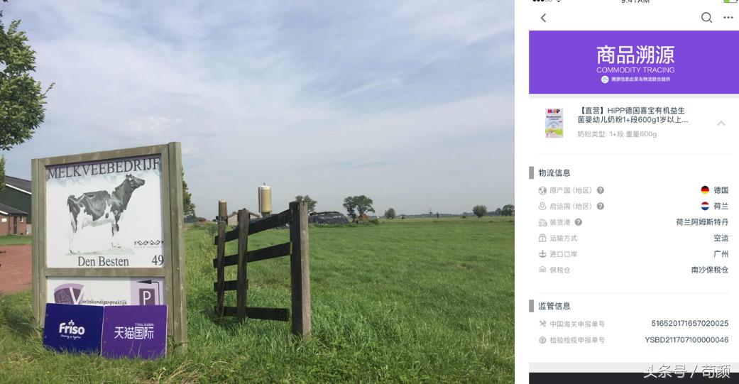 各国争抢全球黄金奶源带,网友评论:别争了,都在天猫国际呢!
