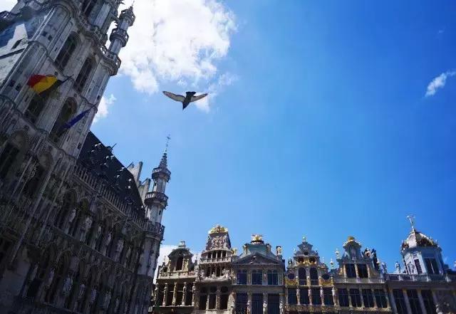 布鲁塞尔旅行日记,布鲁塞尔旅游详细攻略