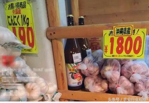 日本农业靠什么赚钱,日本农业经营模式