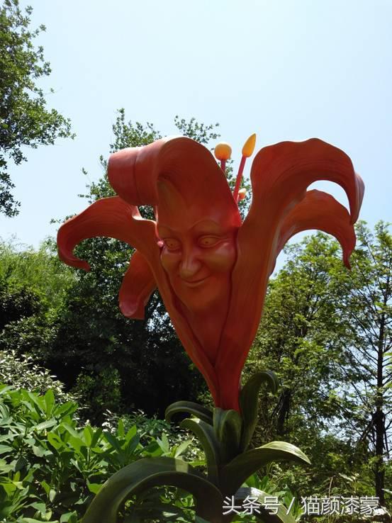 锐丽异类的上海之旅:坚果Pro畅玩迪士尼