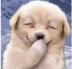 成年人如何自学弹钢琴 (成年人适合弹钢琴吗)