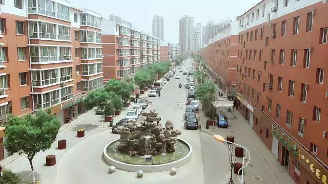 醉美西城｜“城在绿中人在景中”探访绿荫之下的回民区