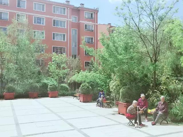 醉美西城｜“城在绿中人在景中”探访绿荫之下的回民区