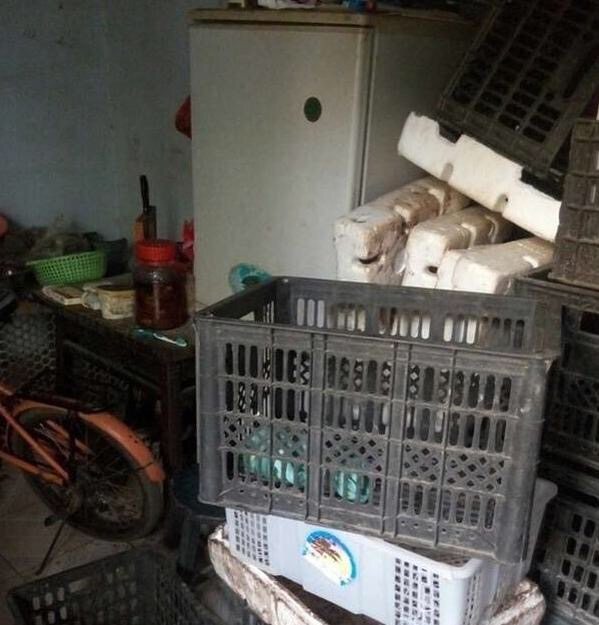 摊上好吃懒做的婆婆怎么办,农村婆媳日常生活做美食