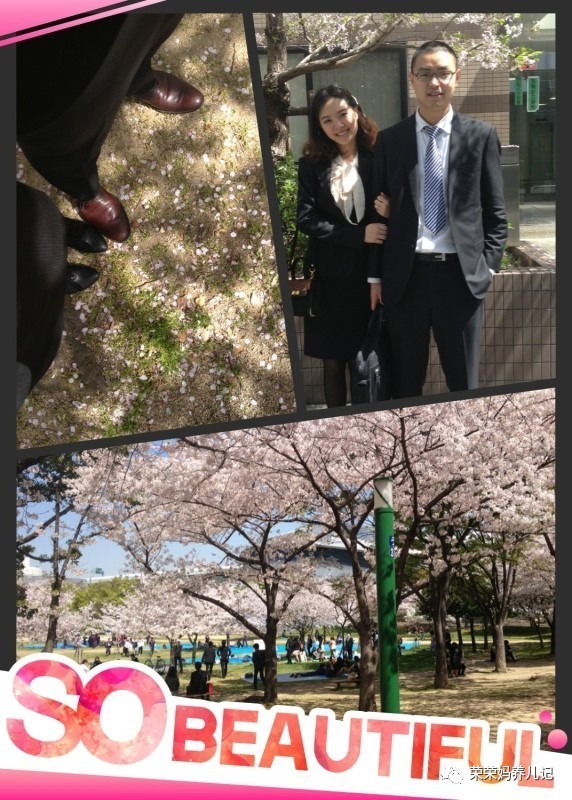 还在为孩子的手工作业发愁吗,还在为孩子的手工作业担心吗