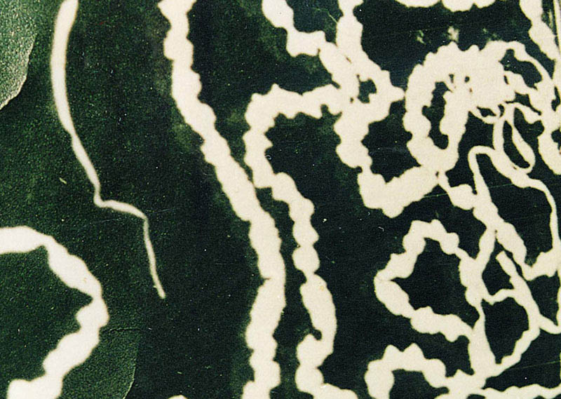 人感染猪囊虫病怎么办,人畜共患寄生虫病中的动物是什么