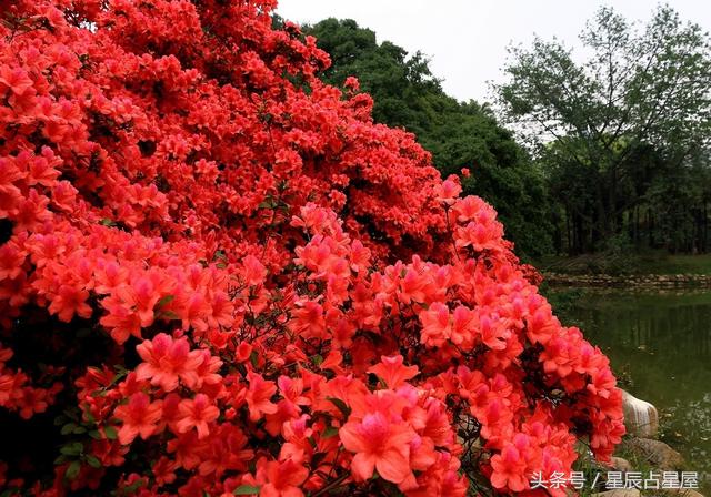转运最快的小技巧是什么,有什么办法可以转运