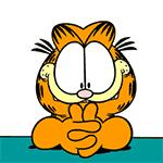 教你怎么在法国坚强的活下去