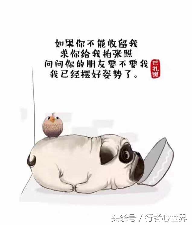 你牛什么牛是哪个小品的,你牛什么牛笑话