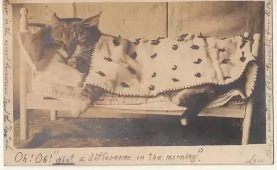 蜘蛛侠能拿雷神的锤子吗,蜘蛛侠可以放蜘蛛吗