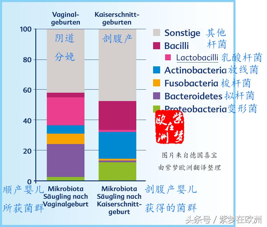 剖腹产宝宝肠道缺少什么益生菌,剖腹产的小孩肠道比较弱