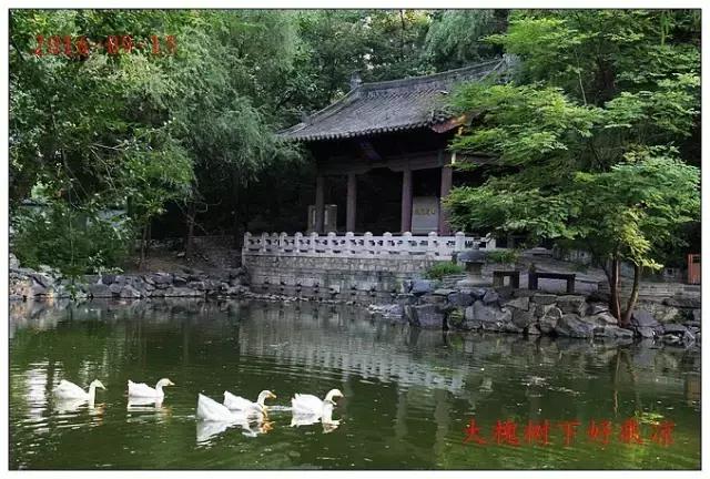 北京龙王庙屹立不倒在哪,北京最灵的龙王庙