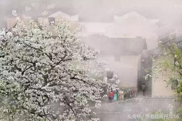 探访龙泉古村,龙泉古镇的美景