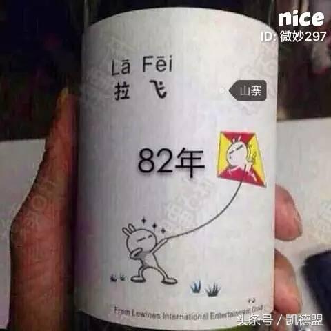 德国进口减肥药真伪,真的良心减肥药